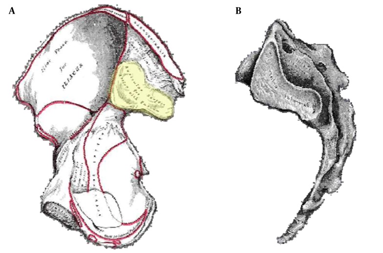 Figure 12.