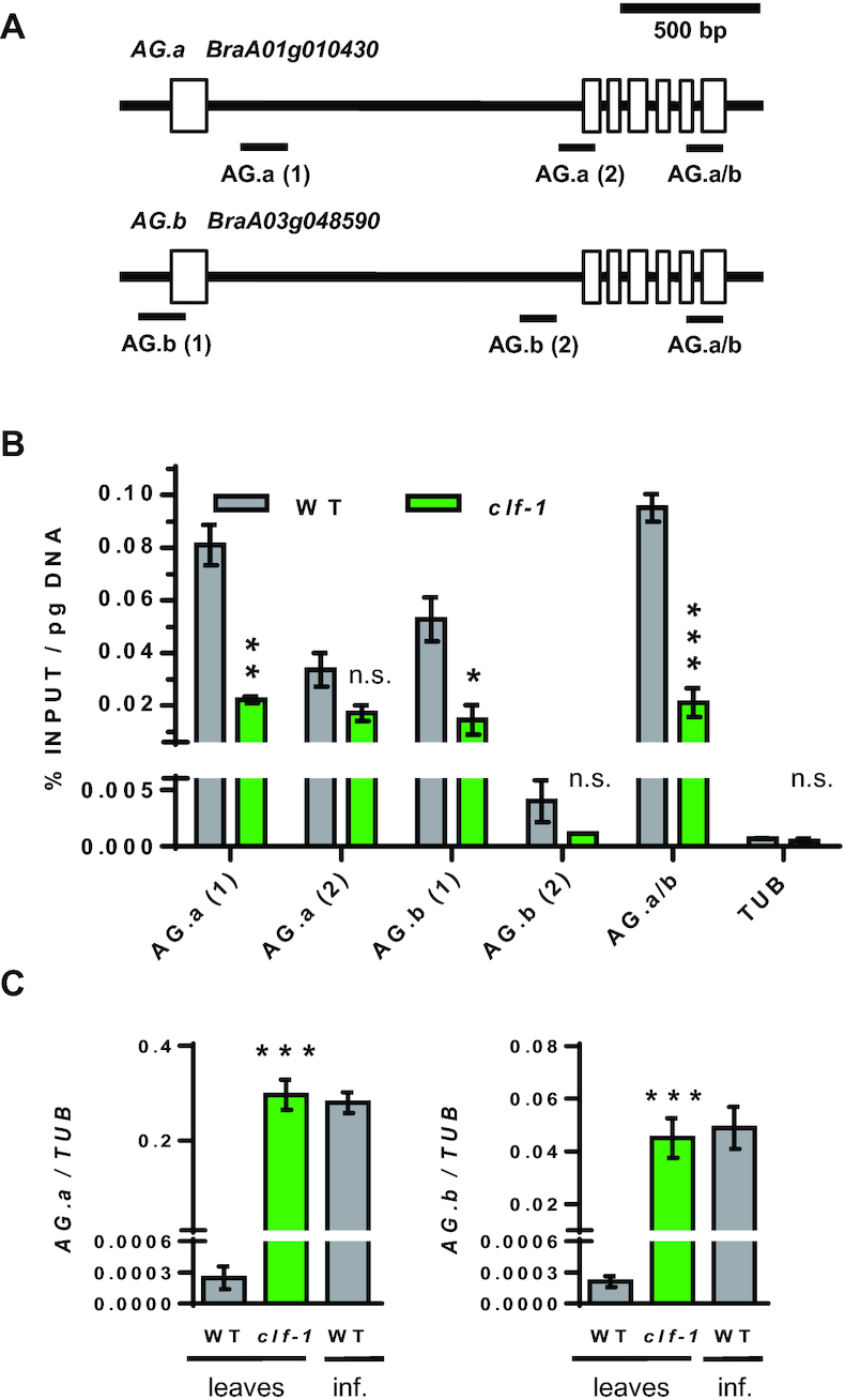 Figure 7: