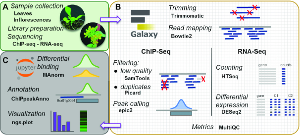 Figure 1: