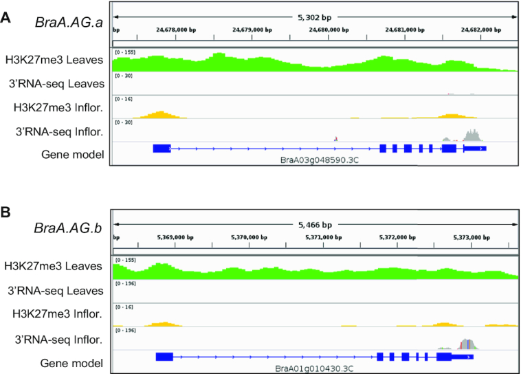 Figure 5: