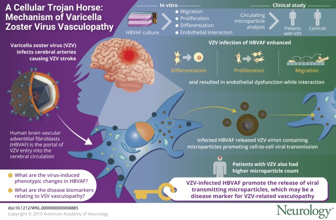 graphic file with name NEUROLOGY2019981308FFU1.jpg