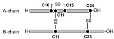 graphic file with name molecules-26-00195-i013.jpg