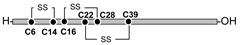 graphic file with name molecules-26-00195-i006.jpg