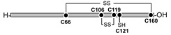 graphic file with name molecules-26-00195-i011.jpg