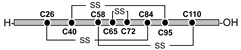 graphic file with name molecules-26-00195-i008.jpg