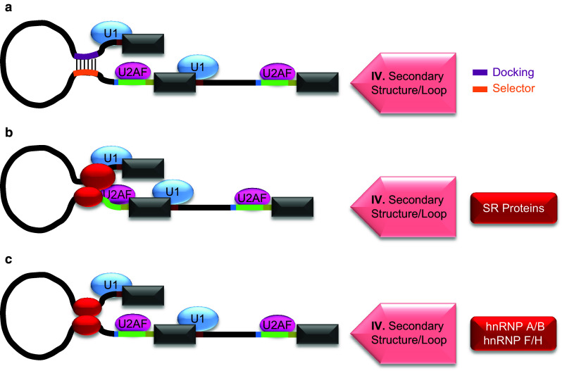 Fig. 4