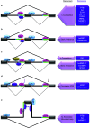 Fig. 2