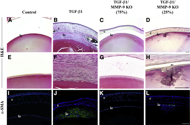 Figure 7