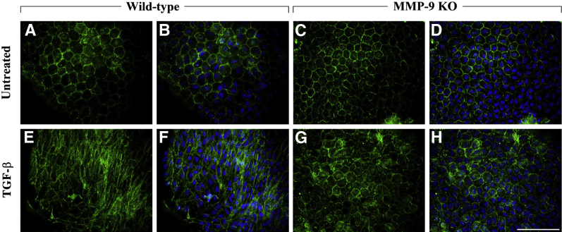 Figure 6