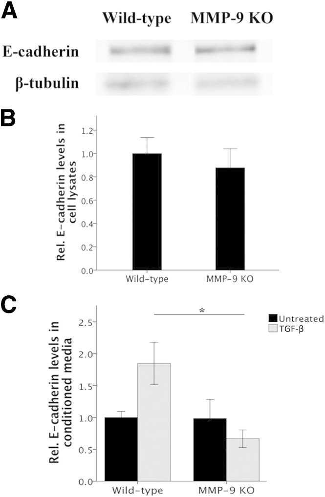 Figure 5