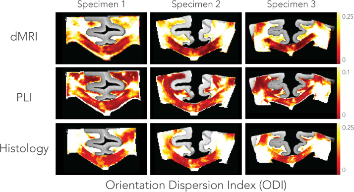 Fig. 9