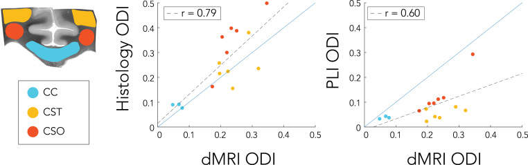 Fig. 10