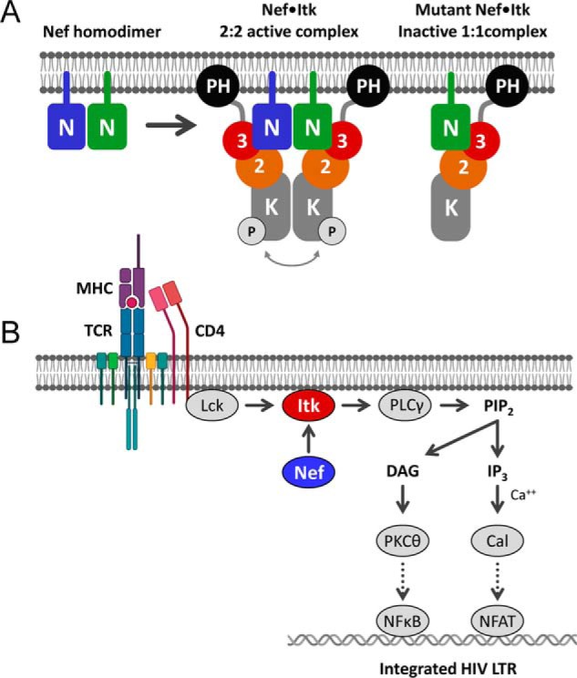 Figure 10.