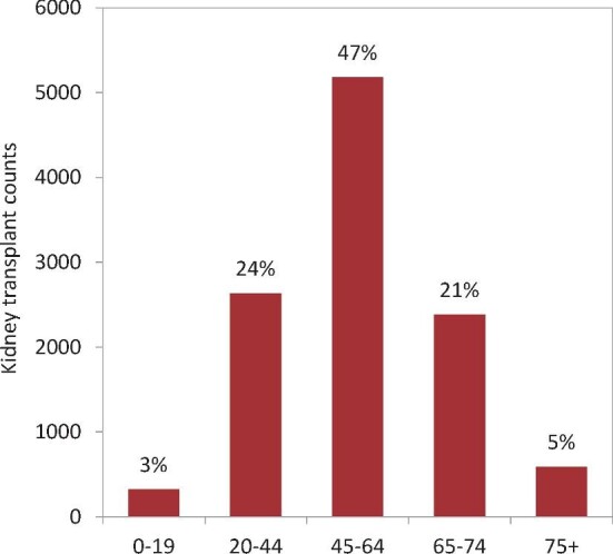 FIGURE 19: