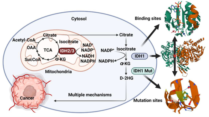 Figure 3