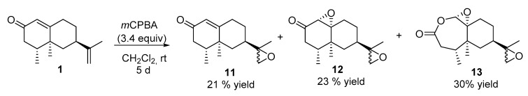 Scheme 4