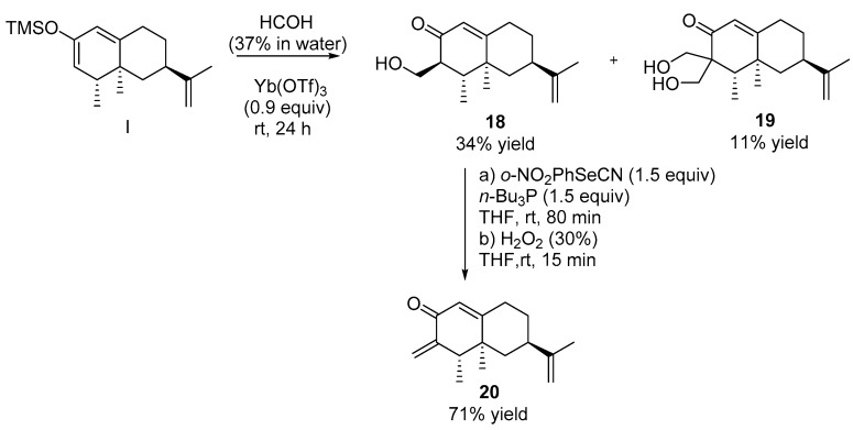 Scheme 6