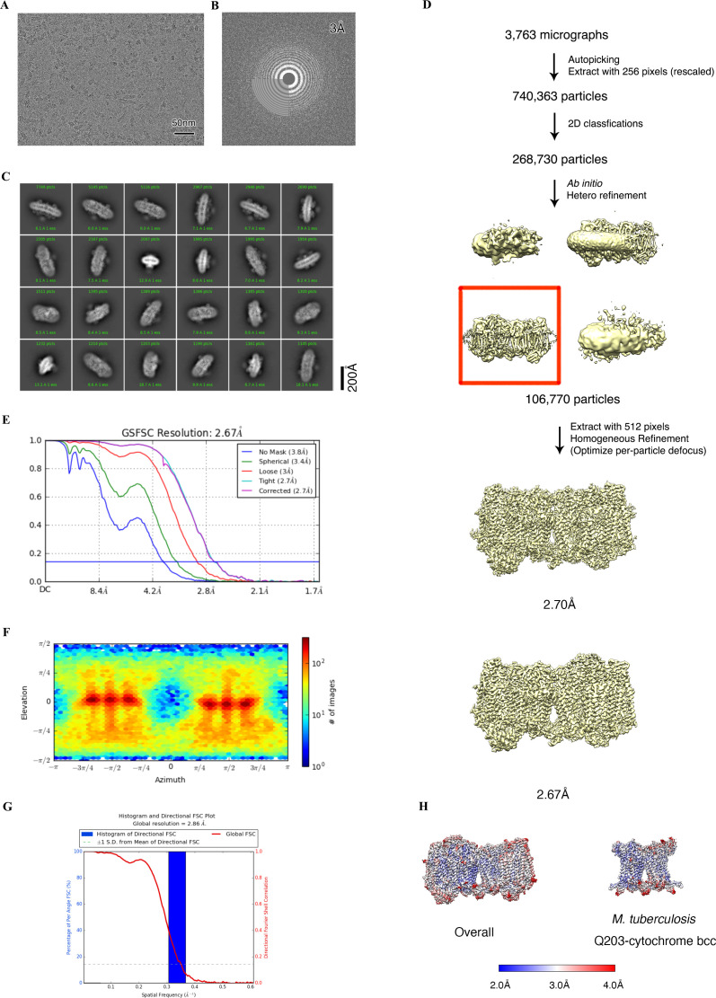 Figure 4—figure supplement 1.