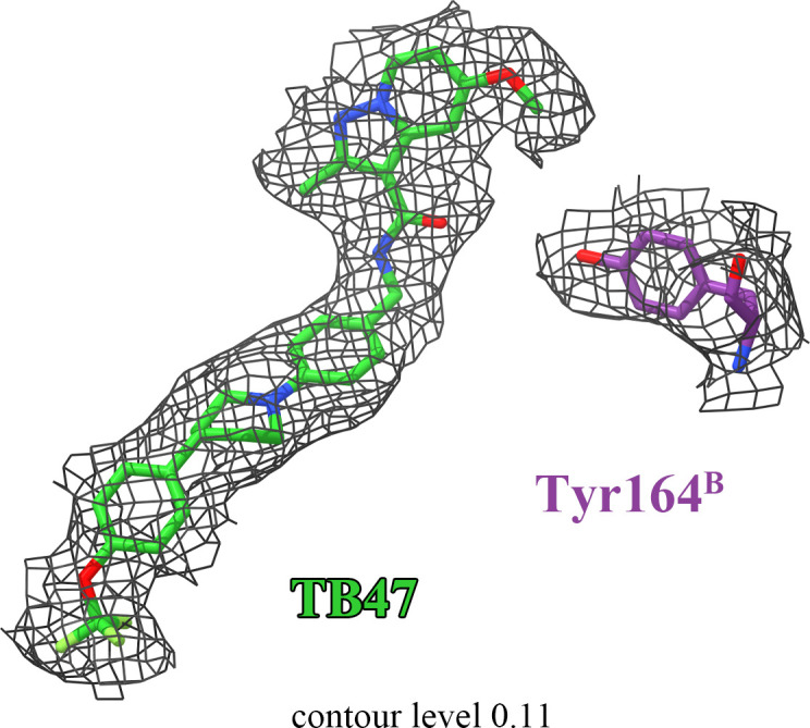 Figure 5—figure supplement 3.