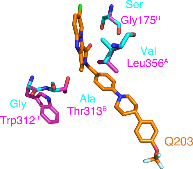 Figure 4—figure supplement 5.