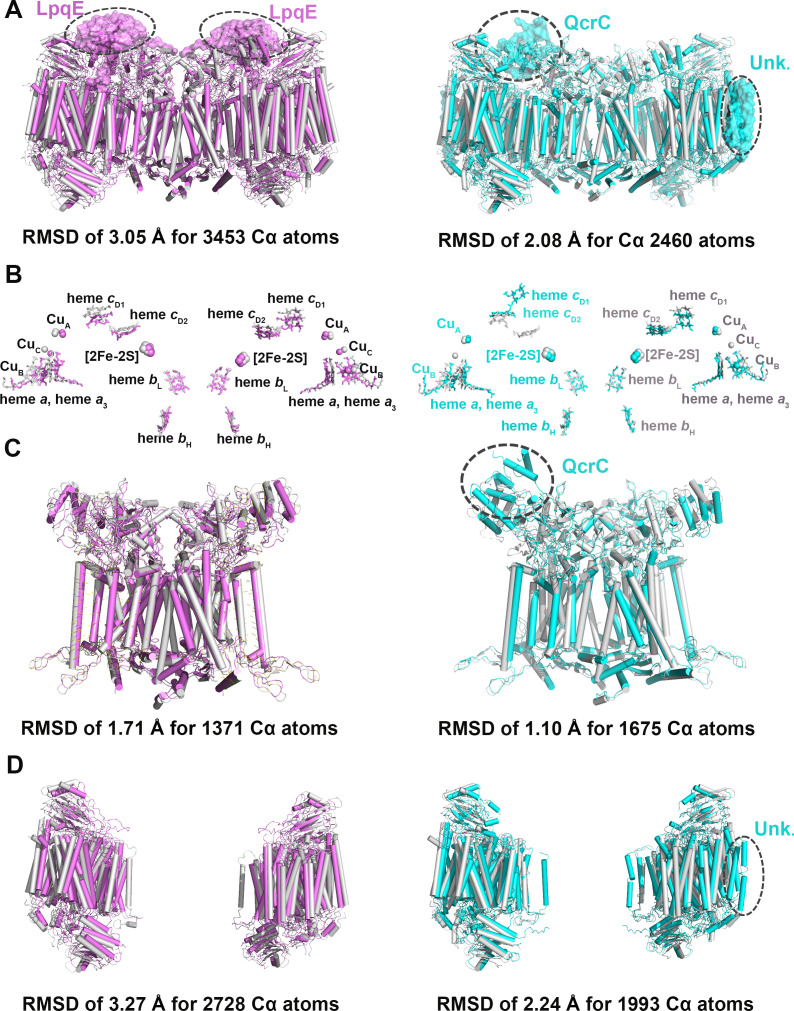 Figure 2—figure supplement 4.