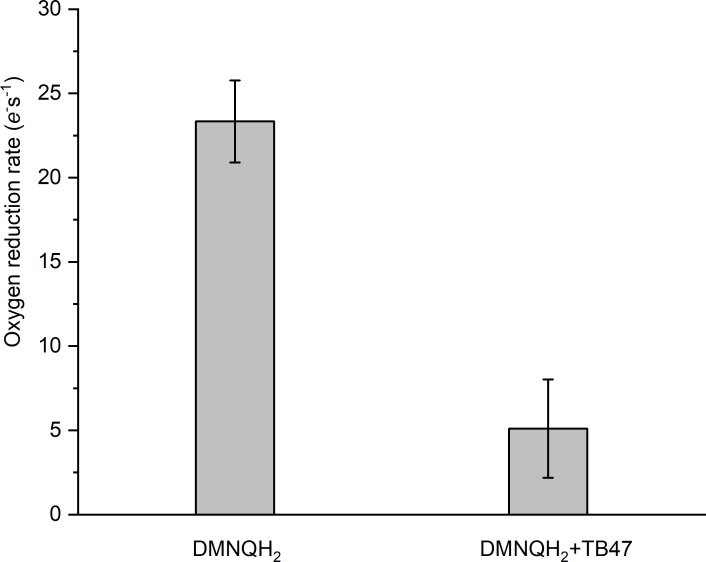 Figure 5—figure supplement 4.