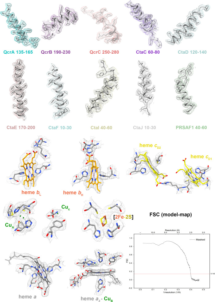 Figure 2—figure supplement 3.