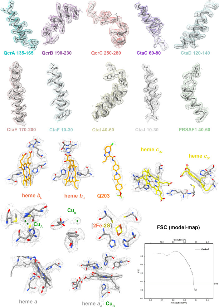 Figure 4—figure supplement 2.