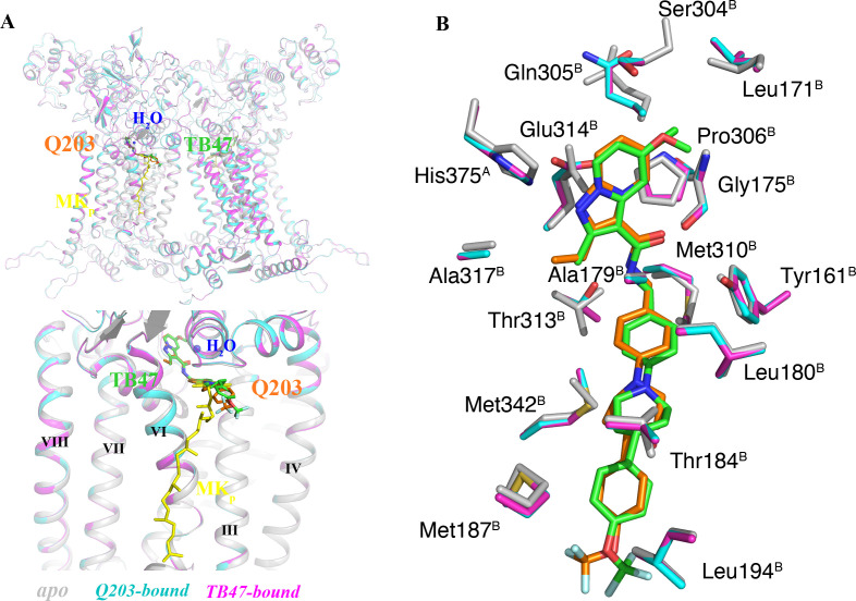 Figure 7—figure supplement 1.