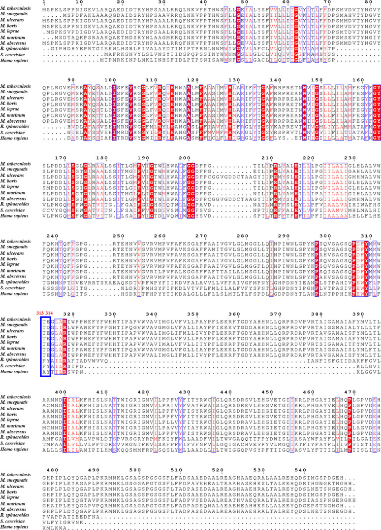 Figure 6—figure supplement 1.