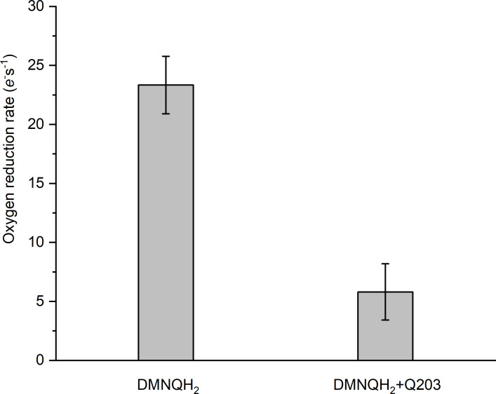 Figure 4—figure supplement 4.