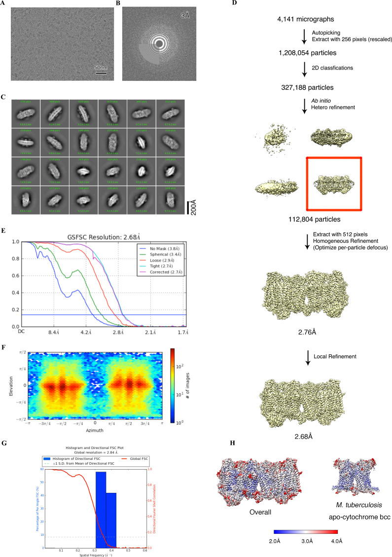 Figure 2—figure supplement 2.