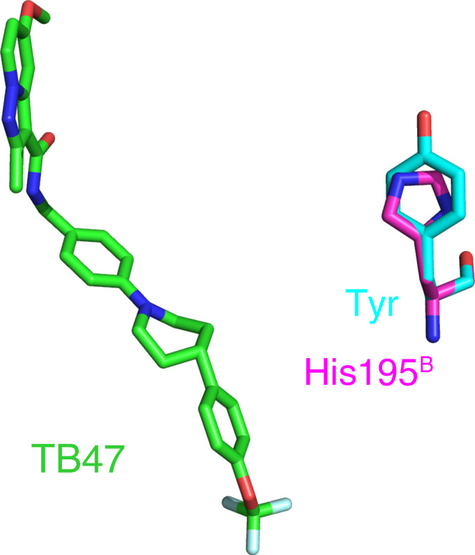 Figure 5—figure supplement 5.