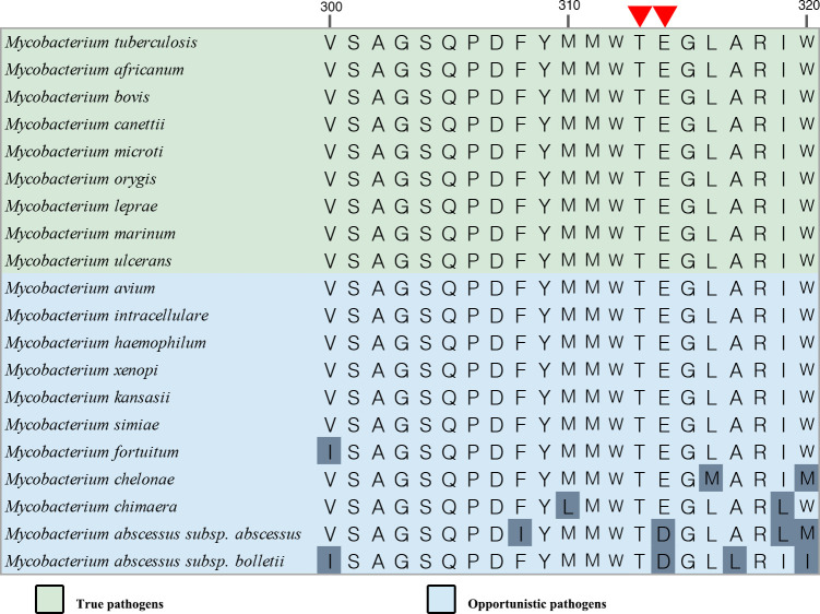 Figure 7—figure supplement 2.