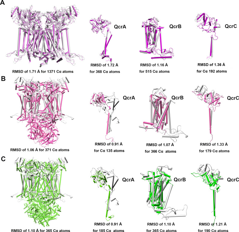 Figure 2—figure supplement 5.