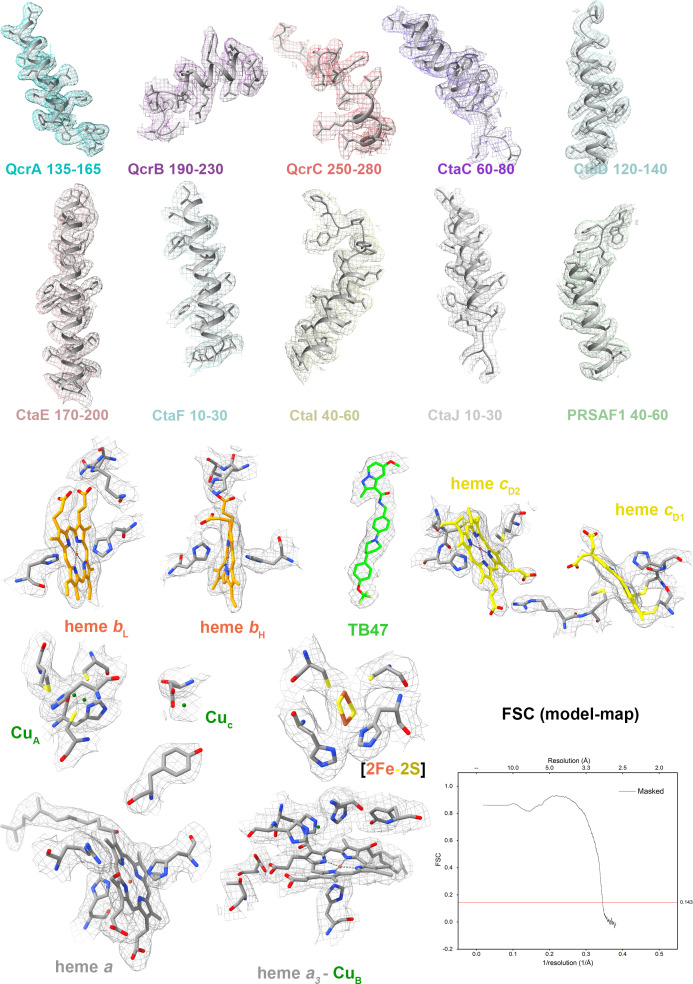 Figure 5—figure supplement 2.