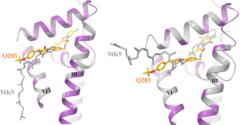 Figure 3—figure supplement 3.