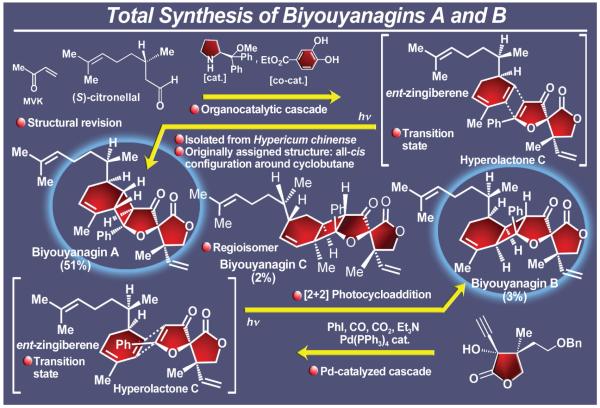 Figure 35