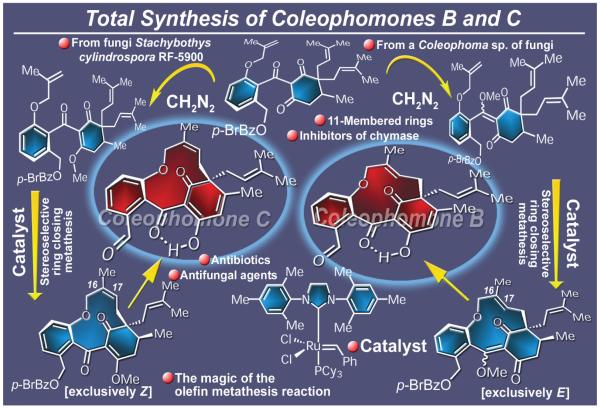 Figure 24