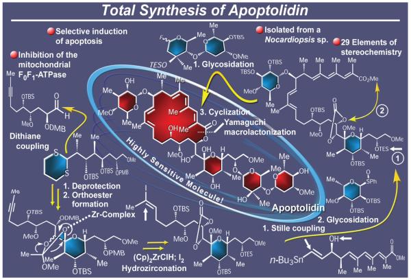 Figure 23