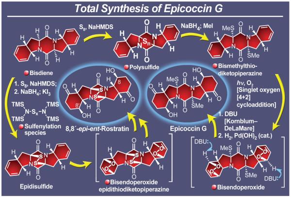 Figure 44