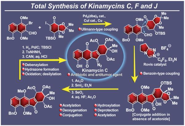 Figure 33