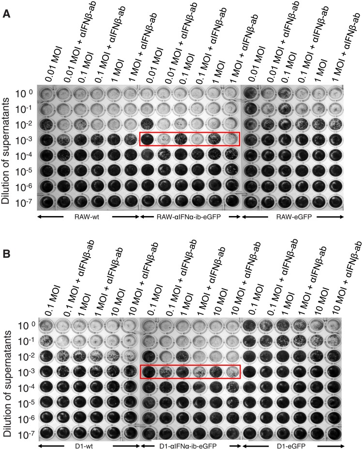 Fig 10