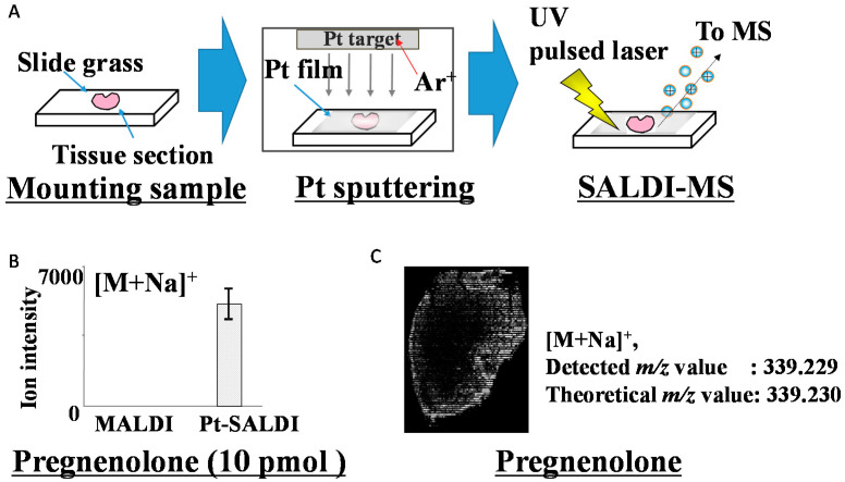 Figure 5