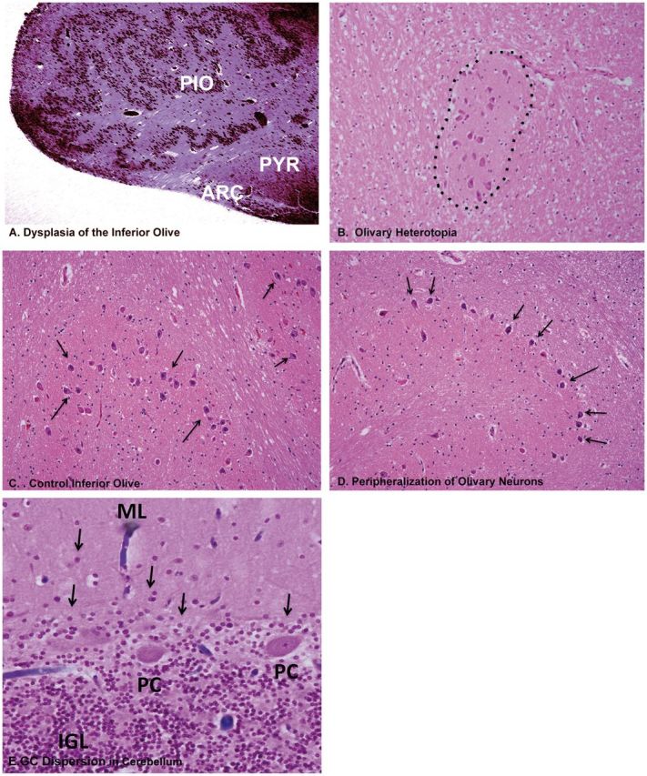 FIGURE 12.