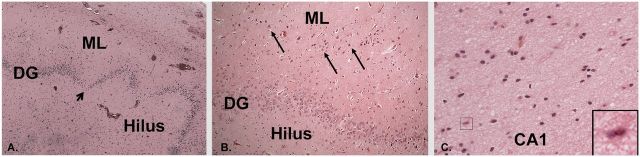 FIGURE 10.