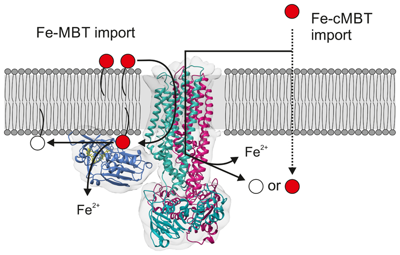 Figure 4