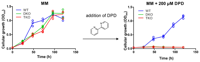 Extended Data Figure 8