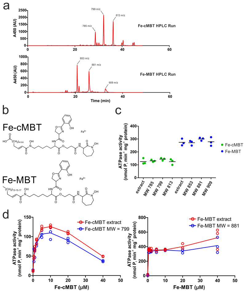 Extended Data Figure 6