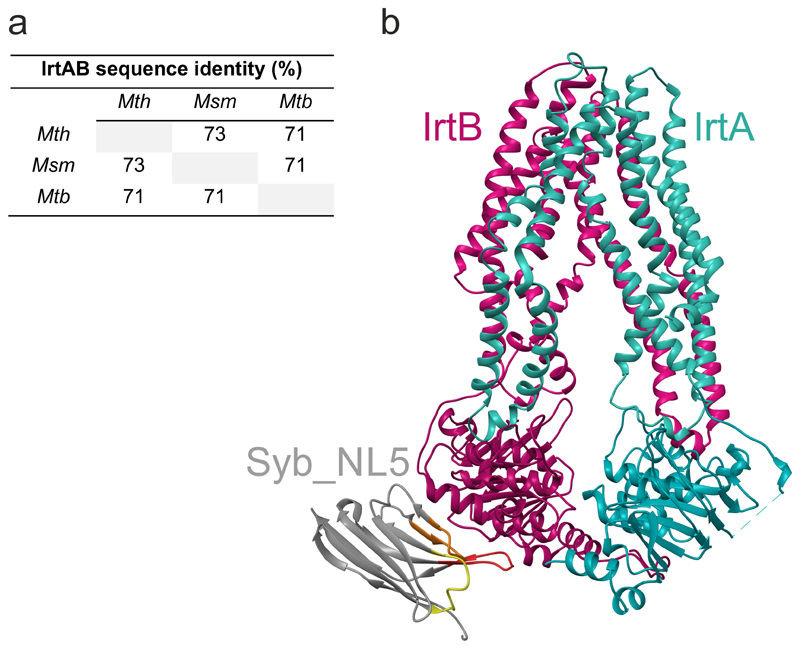 Extended Data Figure 1